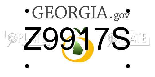 Z9917S Georgia License Plate