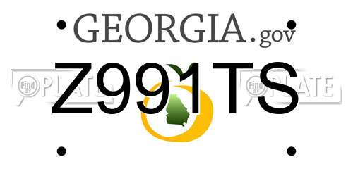 Z991TS Georgia License Plate