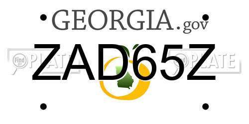 ZAD65Z Georgia License Plate