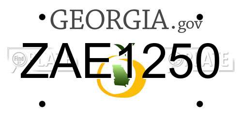 ZAE1250 Georgia License Plate
