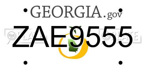 ZAE9555 Georgia License Plate