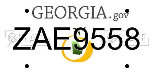 ZAE9558 Georgia License Plate