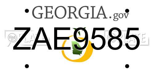 ZAE9585 Georgia License Plate