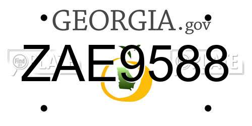 ZAE9588 Georgia License Plate