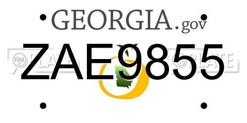 ZAE9855 Georgia License Plate