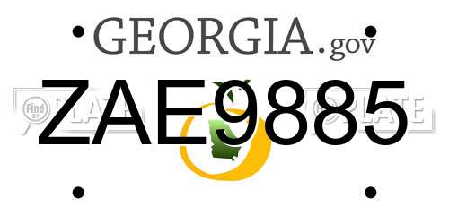 ZAE9885 Georgia License Plate