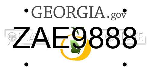 ZAE9888 Georgia License Plate