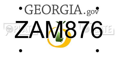 ZAM876 Georgia License Plate