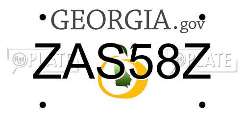 ZAS58Z Georgia License Plate