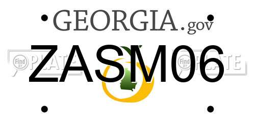 ZASM06 Georgia License Plate