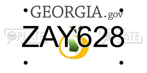 ZAY628 Georgia License Plate