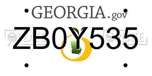 ZB0Y535 Georgia License Plate