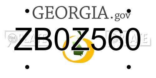 ZB0Z560 Georgia License Plate