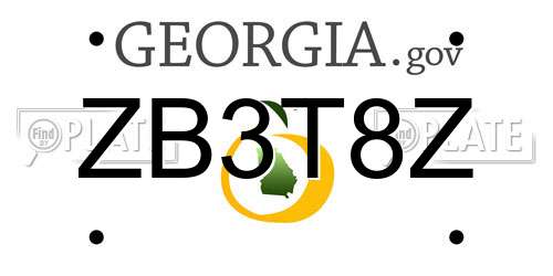 ZB3T8Z Georgia License Plate