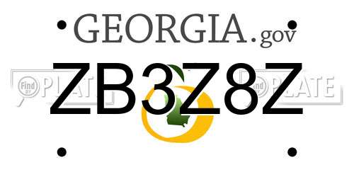 ZB3Z8Z Georgia License Plate