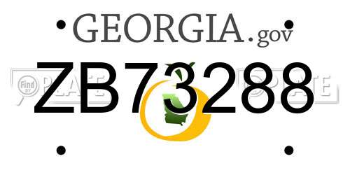 ZB73288 Georgia License Plate