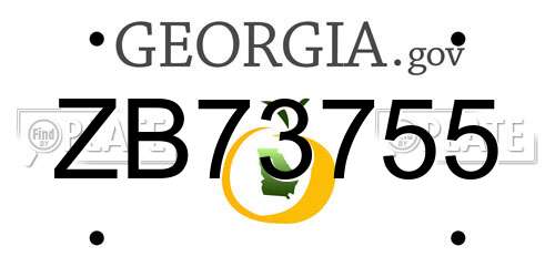 ZB73755 Georgia License Plate