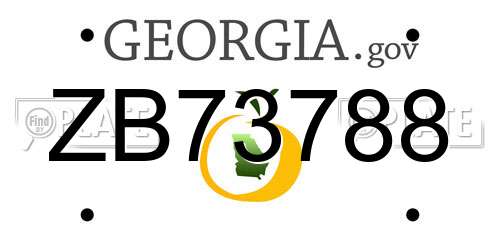 ZB73788 Georgia License Plate
