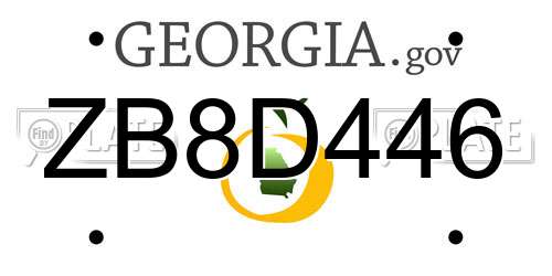 ZB8D446 Georgia License Plate
