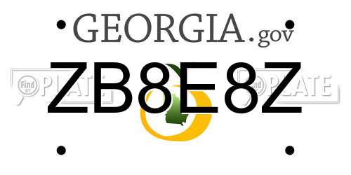 ZB8E8Z Georgia License Plate