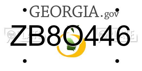 ZB8O446 Georgia License Plate