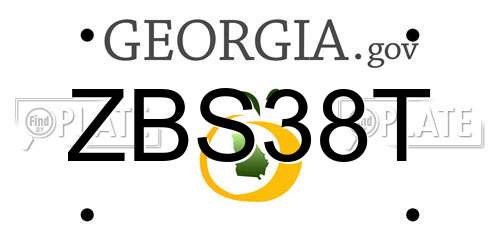 ZBS38T Georgia License Plate