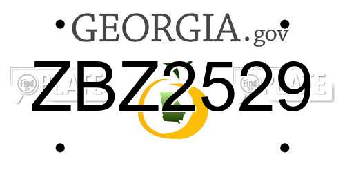 ZBZ2529 Georgia License Plate