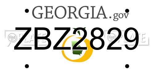 ZBZ2829 Georgia License Plate