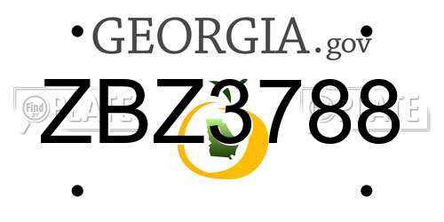 ZBZ3788 Georgia License Plate