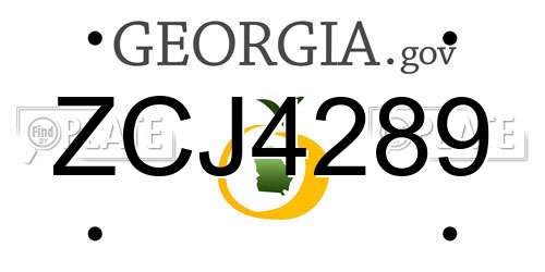 ZCJ4289 Georgia License Plate