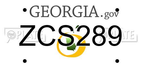 ZCS289 Georgia License Plate