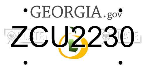 ZCU2230 Georgia License Plate