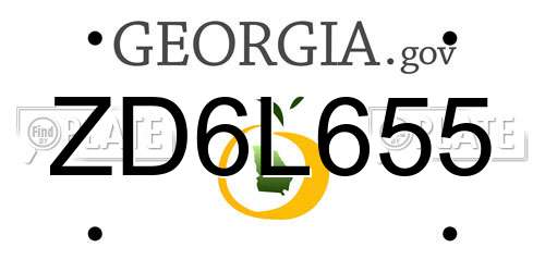 ZD6L655 Georgia License Plate
