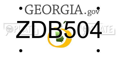ZDB504 Georgia License Plate