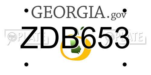 ZDB653 Georgia License Plate