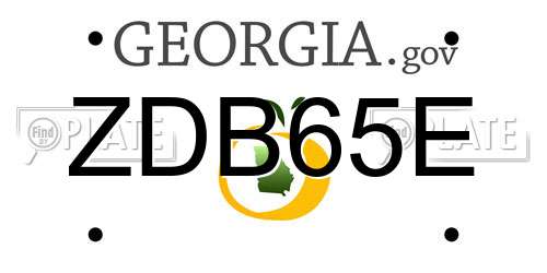 ZDB65E Georgia License Plate