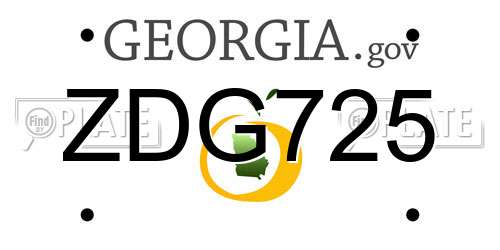 ZDG725 Georgia License Plate