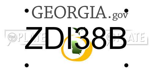 ZDI38B Georgia License Plate