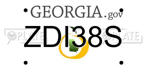 ZDI38S Georgia License Plate