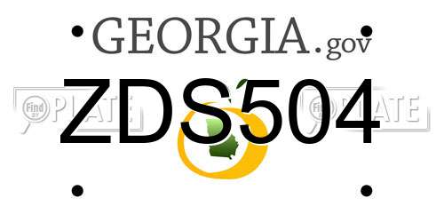 ZDS504 Georgia License Plate