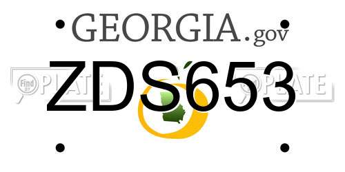 ZDS653 Georgia License Plate