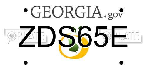 ZDS65E Georgia License Plate