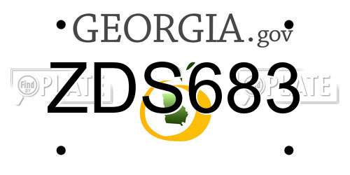 ZDS683 Georgia License Plate