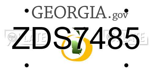 ZDS7485 Georgia License Plate