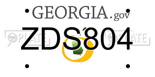 ZDS804 Georgia License Plate