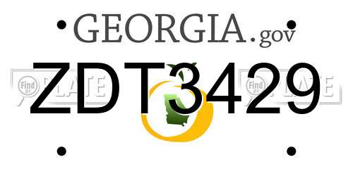 ZDT3429 Georgia License Plate