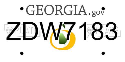 ZDW7183 Georgia License Plate
