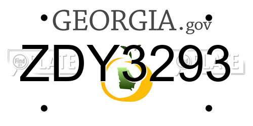 ZDY3293 Georgia License Plate