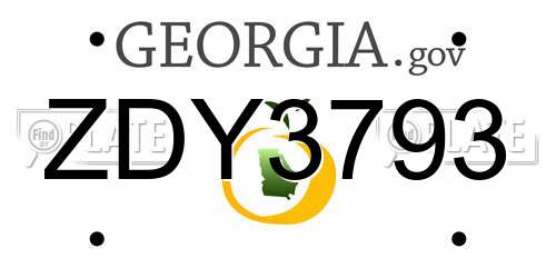 ZDY3793 Georgia License Plate