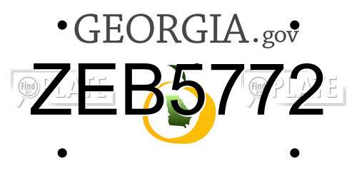 ZEB5772 Georgia License Plate